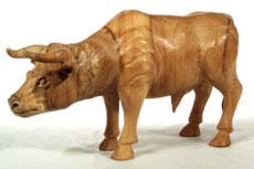 Stier