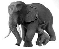 Elephant mother with baby