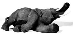 Lying Elephant