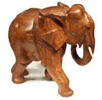 Elephant, waxed