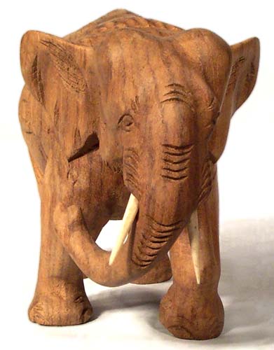 Elephant, untreated