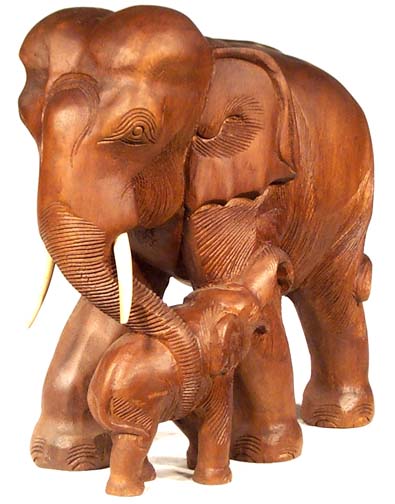 Elephant with baby