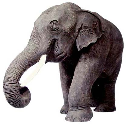 Elephant, treated
